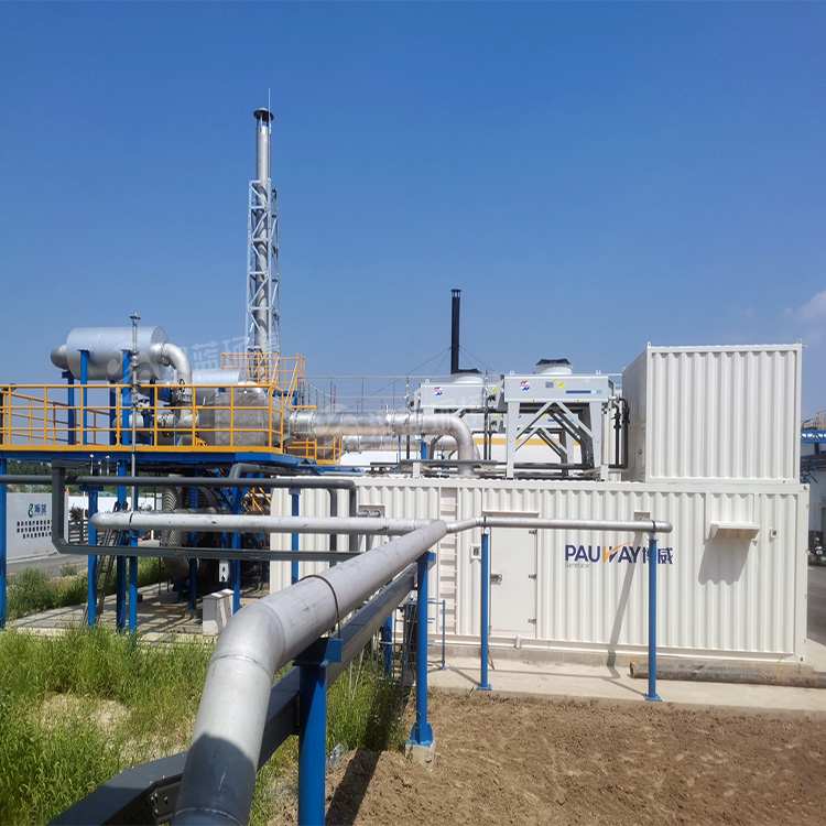 萬純SCR脫硝系統(tǒng)-餐廚垃圾沼氣發(fā)電機(jī)組脫硝 萬純SCR脫硝系統(tǒng)-餐廚垃圾沼氣發(fā)電機(jī)組脫硝