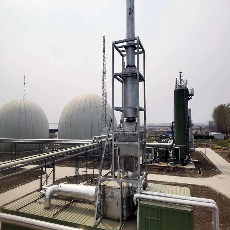 萬純SCR脫硝設(shè)備-沼氣發(fā)電機組脫硝