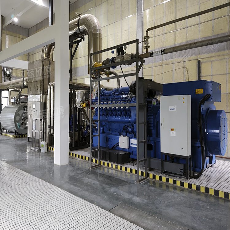 萬純SCR脫硝工程-沼氣發電機組脫硝 萬純SCR脫硝工程-沼氣發電機組脫硝